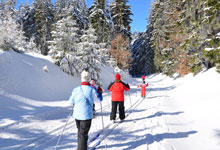 Winter-Langlauf im Wald bei Königstein