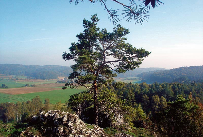 Wunderbare Natur der Oberpfalz